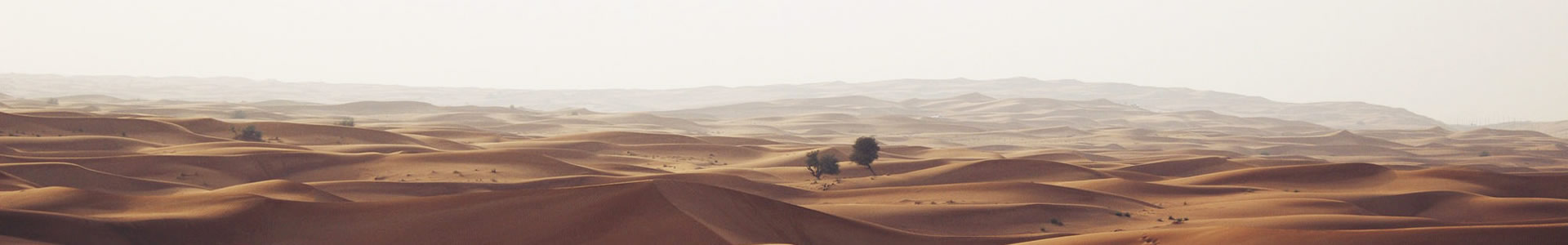ݸΪ׻Ƽ޹˾